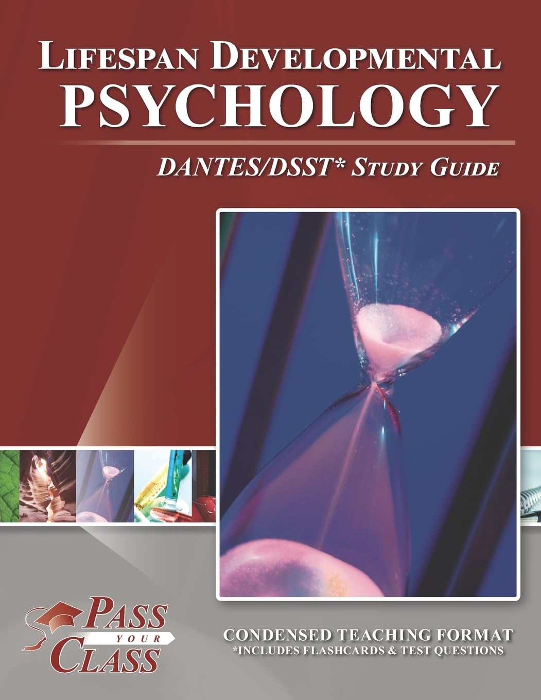 Lifespan Developmental Psychology DANTES/DSST Test Study Guide,Used