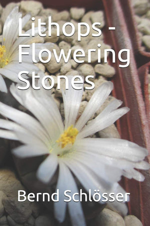 Lithops  Flowering Stones