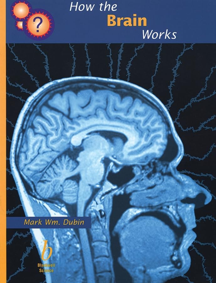 How the Brain Works,Used