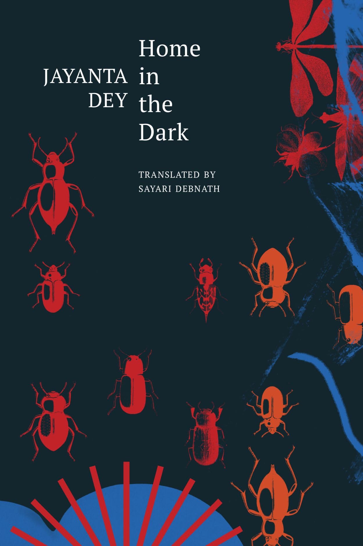 Home In The Dark: Selected Stories (The India List)