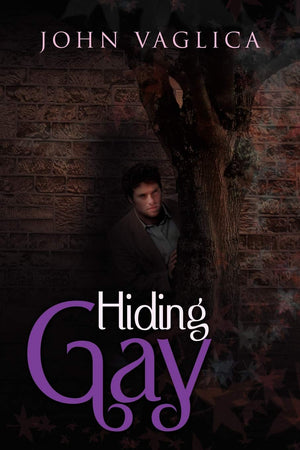 Hiding Gay,Used