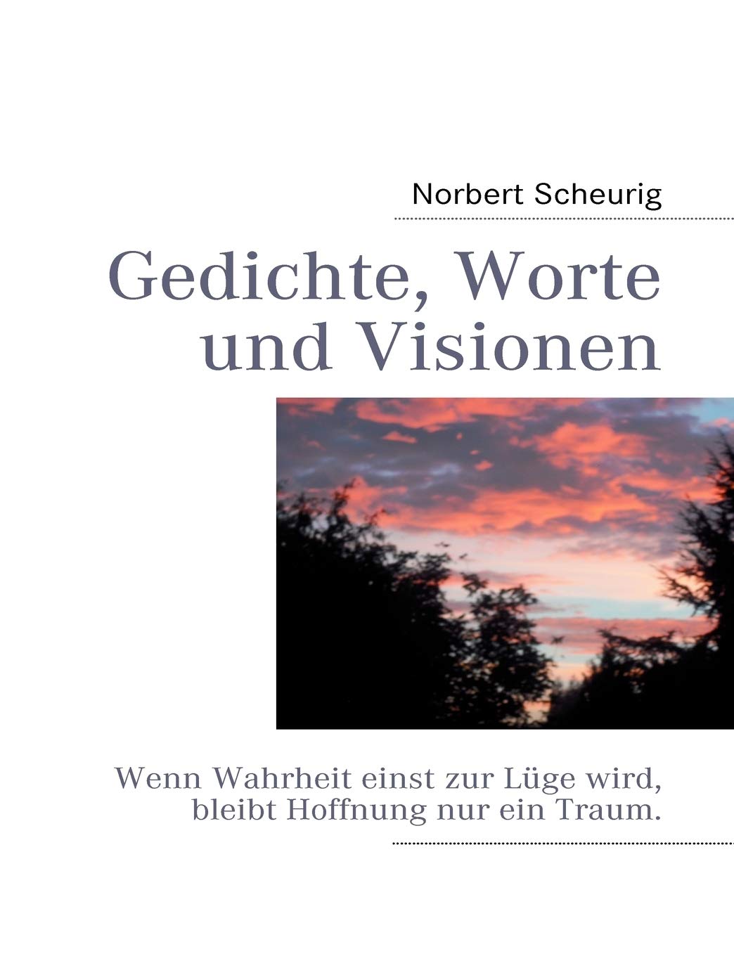Gedichte, Worte und Visionen (German Edition),Used