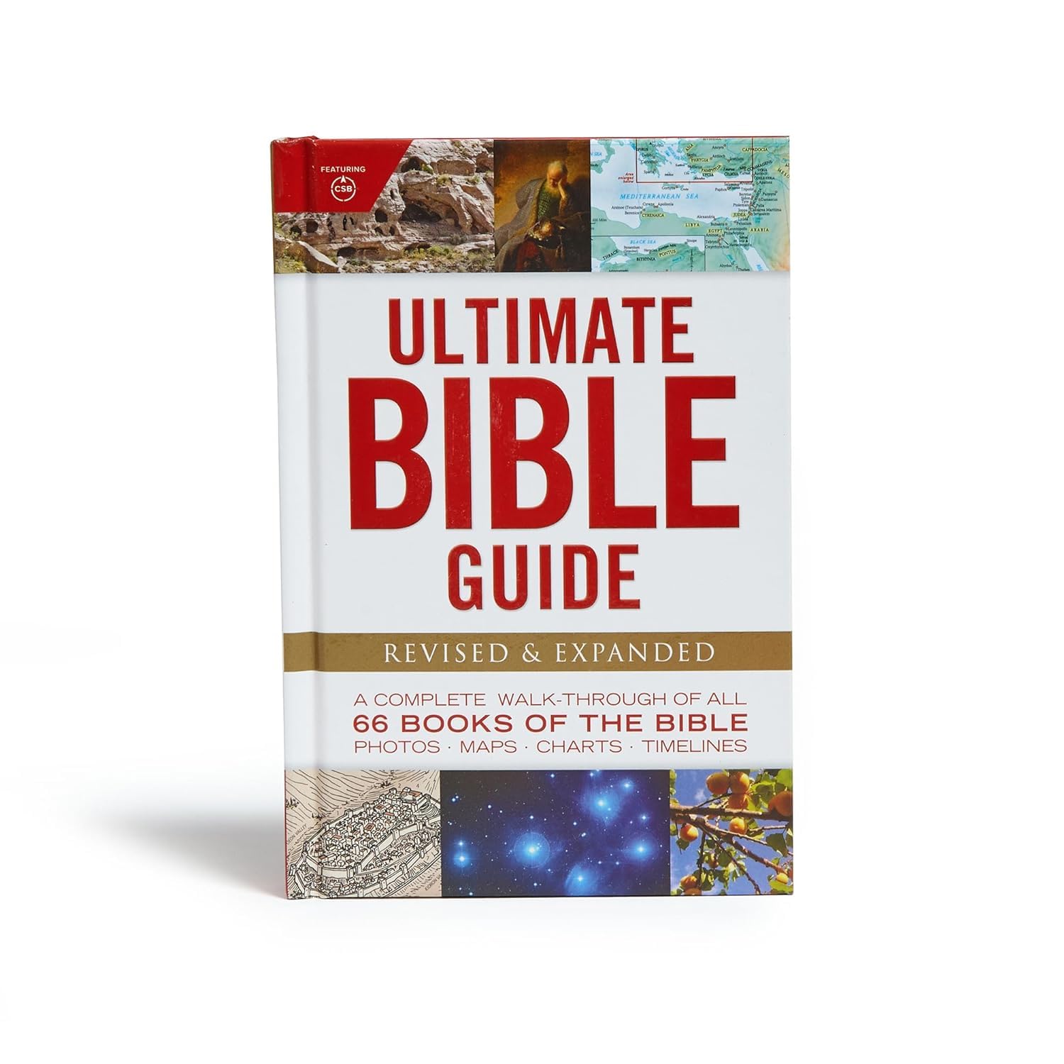 Ultimate Bible Guide: A Complete WalkThrough of All 66 Books of the Bible / Photos Maps Charts Timelines (Ultimate Guide),Used