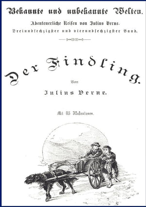 Der Findling (German Edition),Used