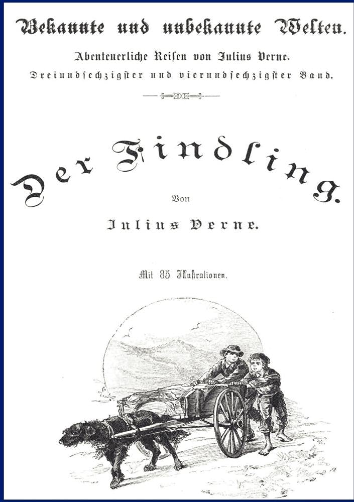 Der Findling (German Edition),Used