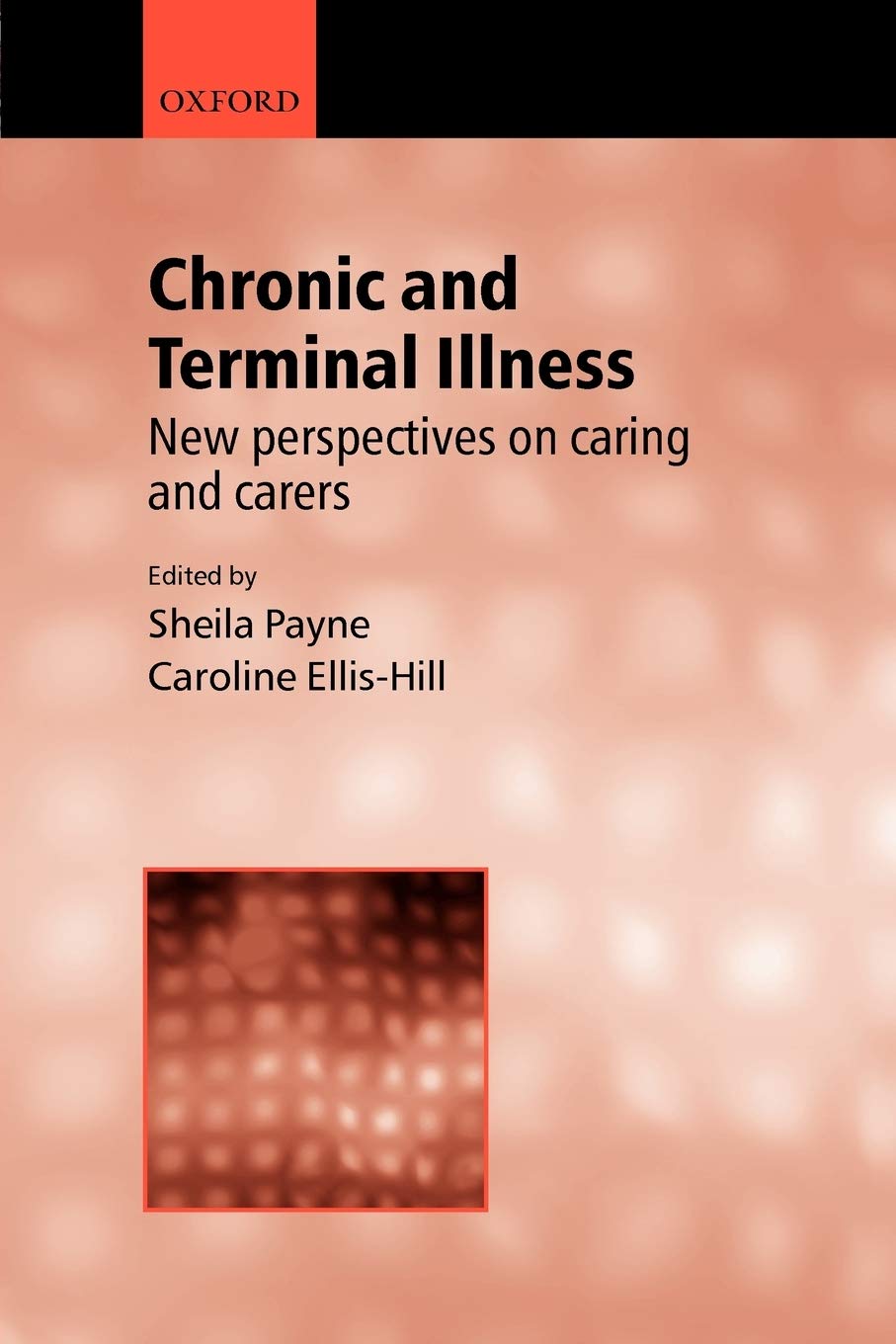 Chronic and Terminal Illness: New Perspectives on Caring and Carers,Used