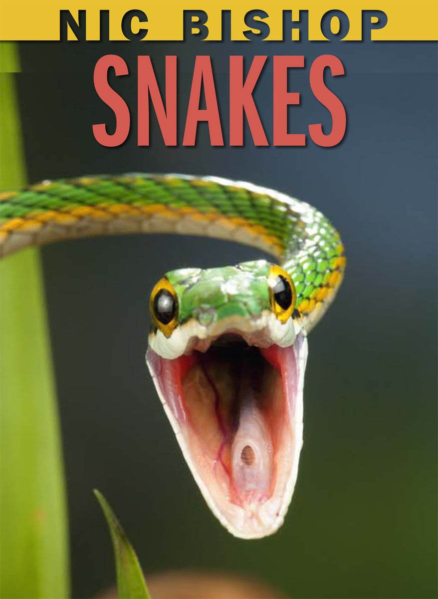 Nic Bishop: Snakes,New