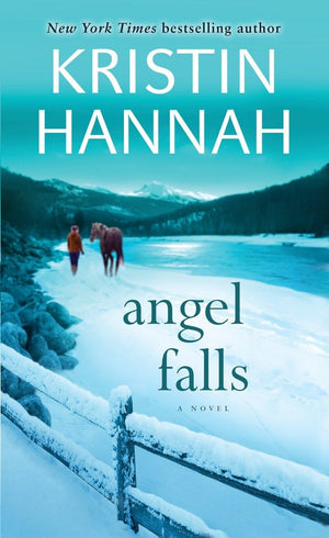 Angel Falls: A Novel,Used