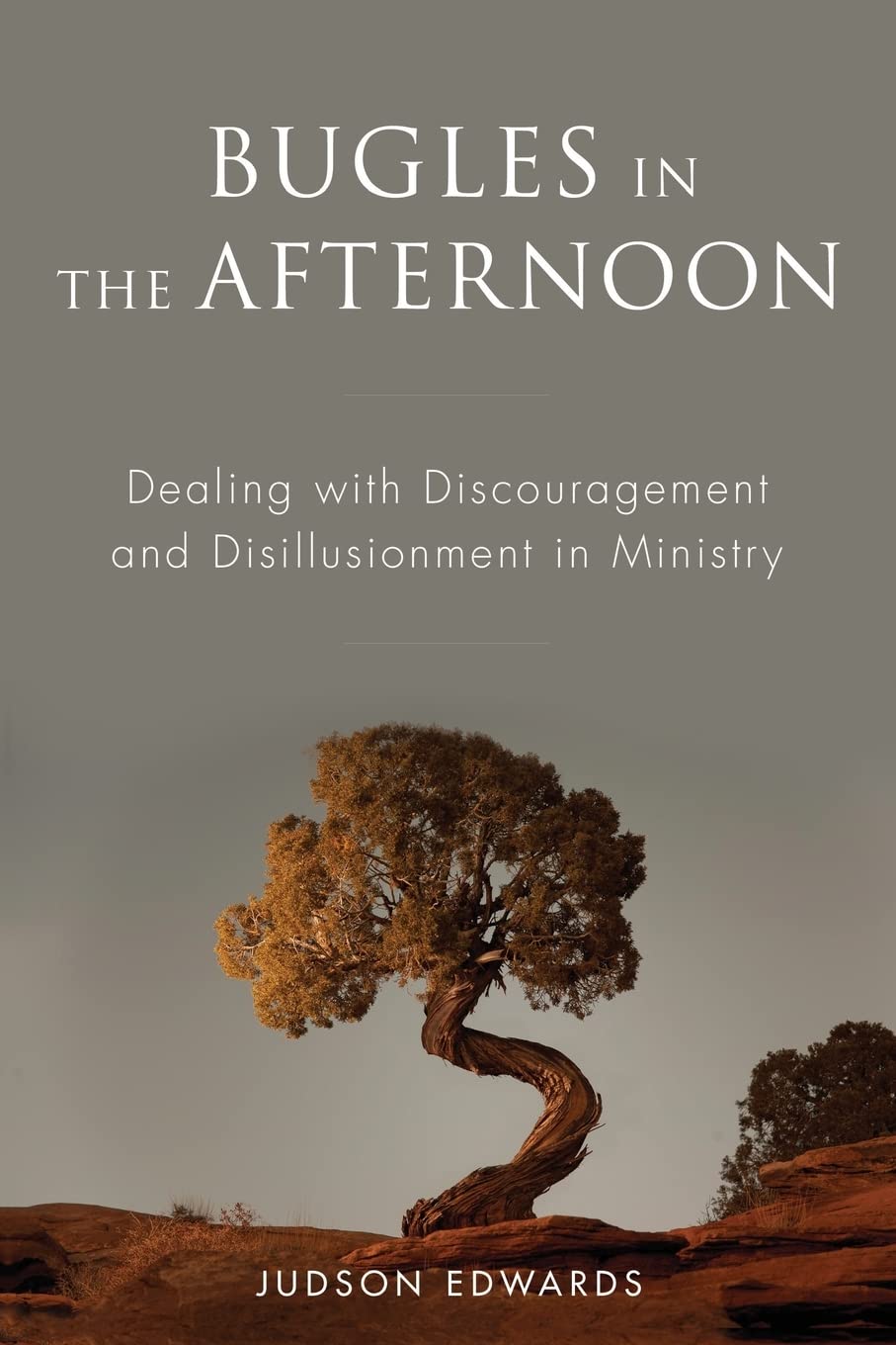 Bugles in the Afternoon: Dealing with Discouragement and Disillusionment in Ministry,Used