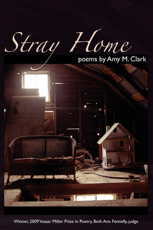 Stray Home (Volume 17) (Vassar Miller Prize in Poetry),Used