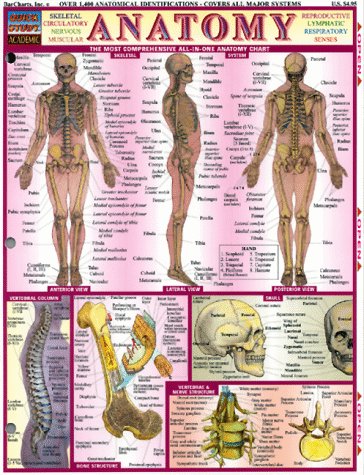 Anatomy,Used