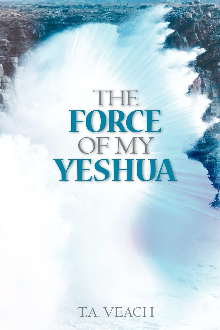 The Force of My Yeshua,Used