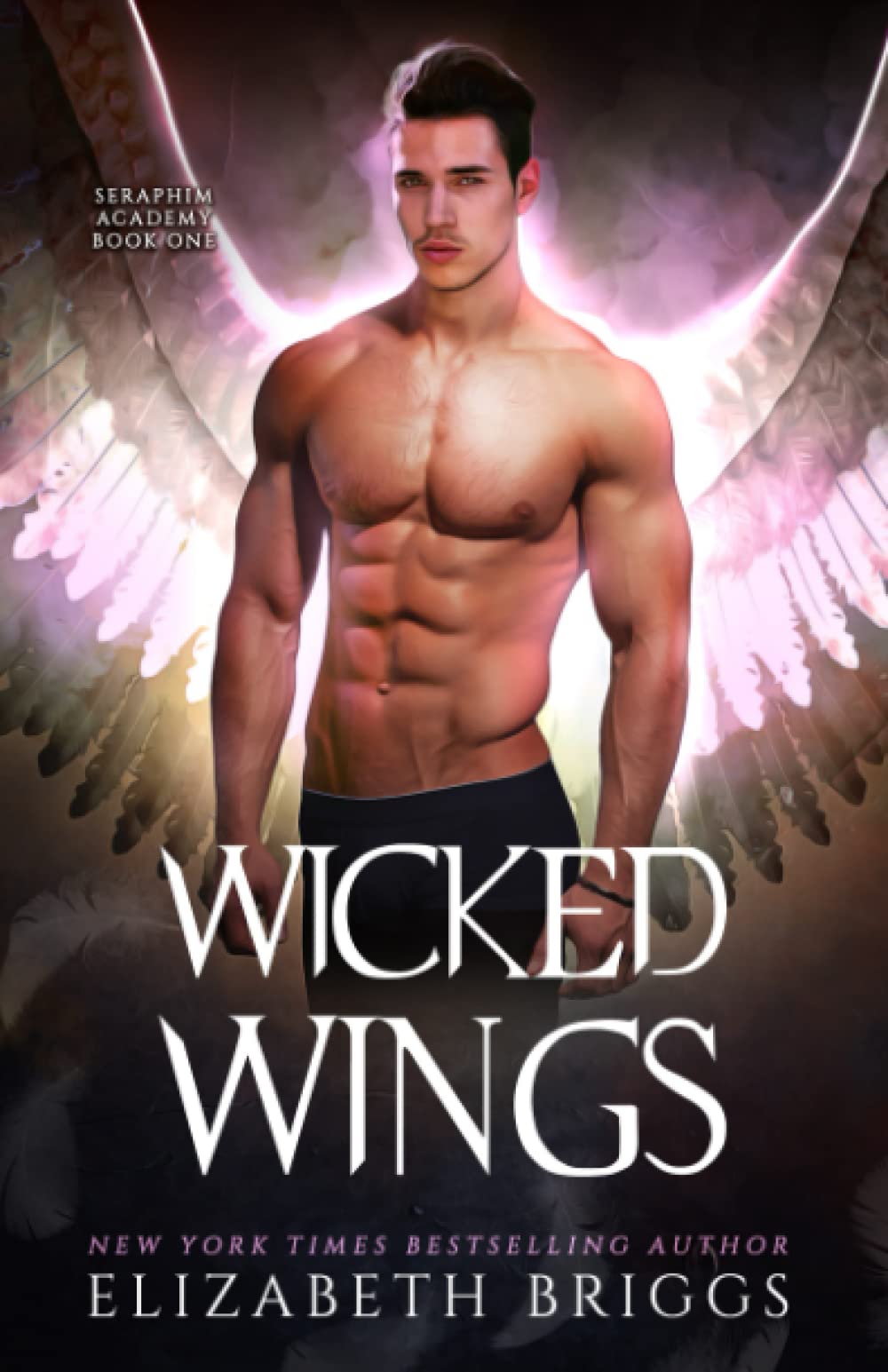 Seraphim Academy 1: Wicked Wings,Used