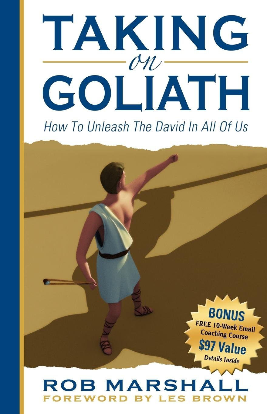 Taking on Goliath: How to Unleash the David in All of Us,Used