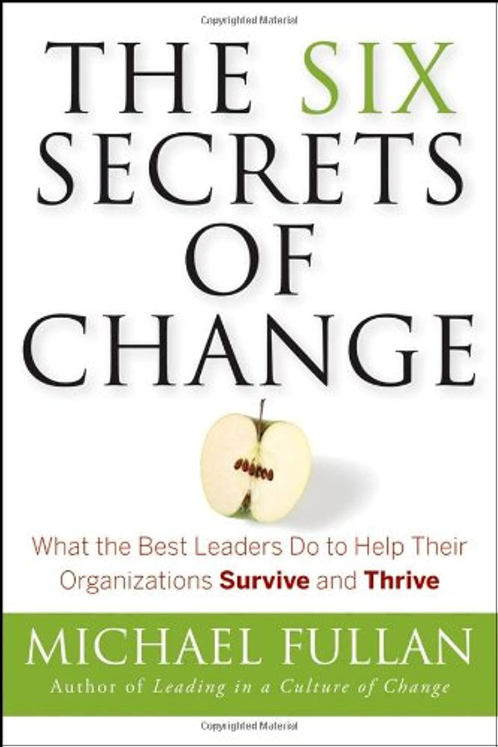 The Six Secrets Of Change: What The Best Leaders Do To Help Their Organizations Survive And Thrive,New