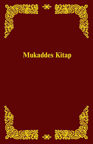 Turkmen New Testament (Turkmen Edition),Used