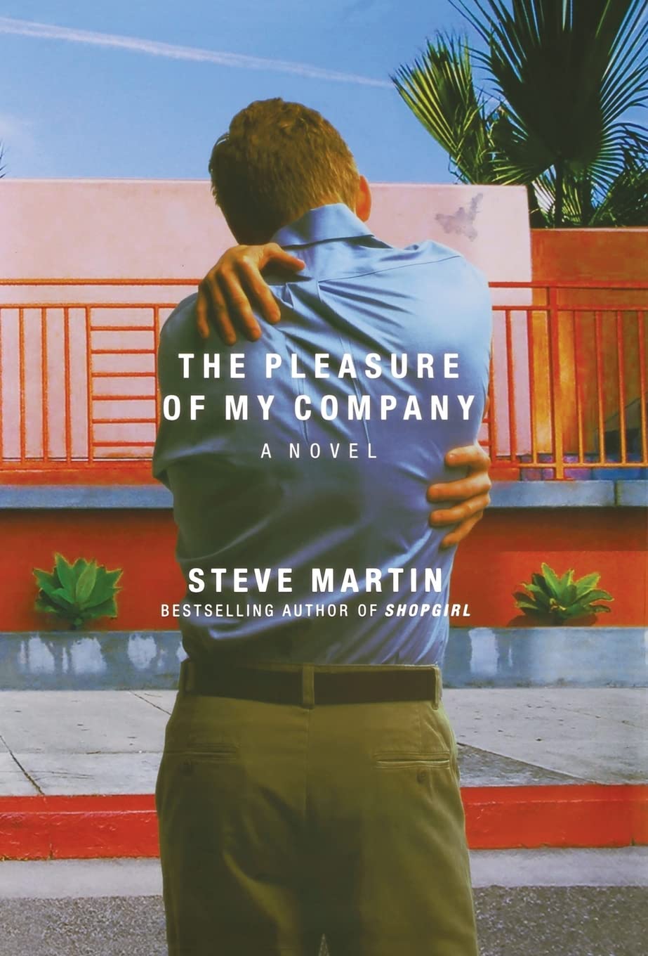 The Pleasure Of My Company: A Novel