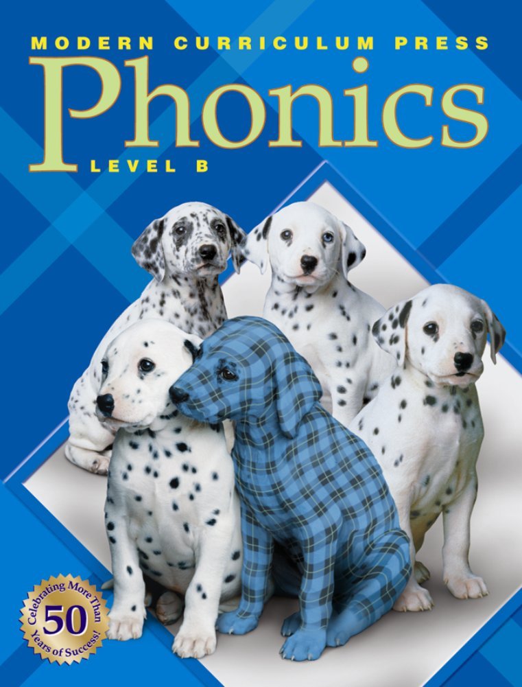 MCP Phonics, Level B,Used