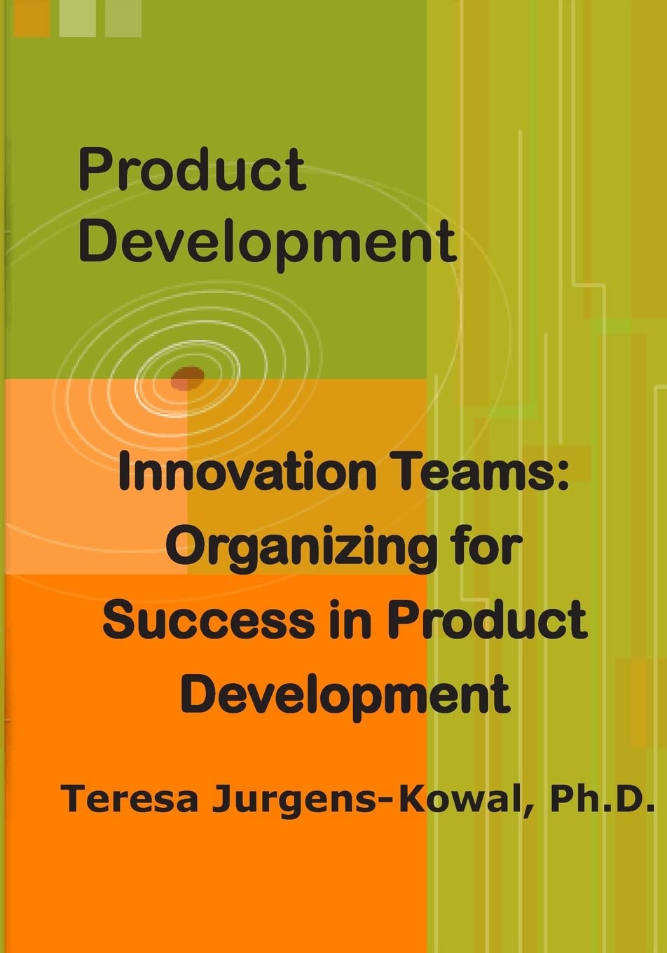 Product Development Innovation Teams: Organizing for Success in New Product Development