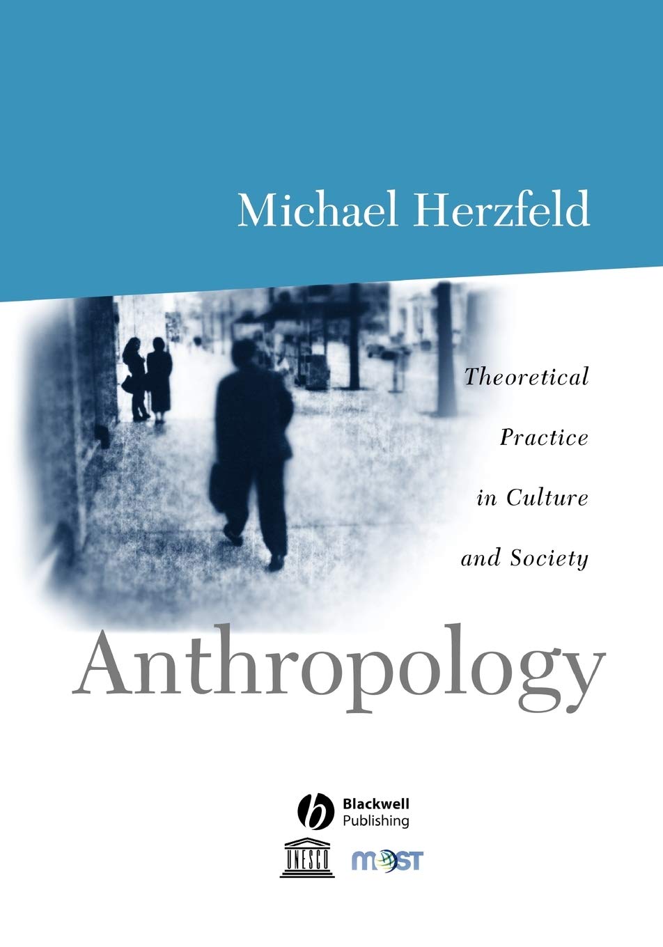 Anthropology: Theoretical Practice in Culture and Society,Used
