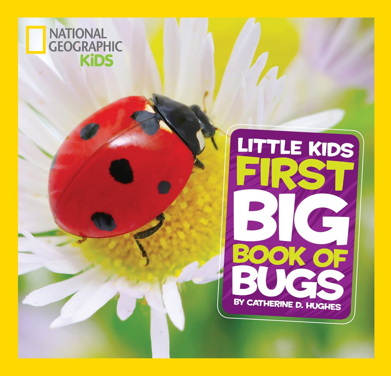 National Geographic Little Kids First Big Book Of Bugs (National Geographic Little Kids First Big Books),Used