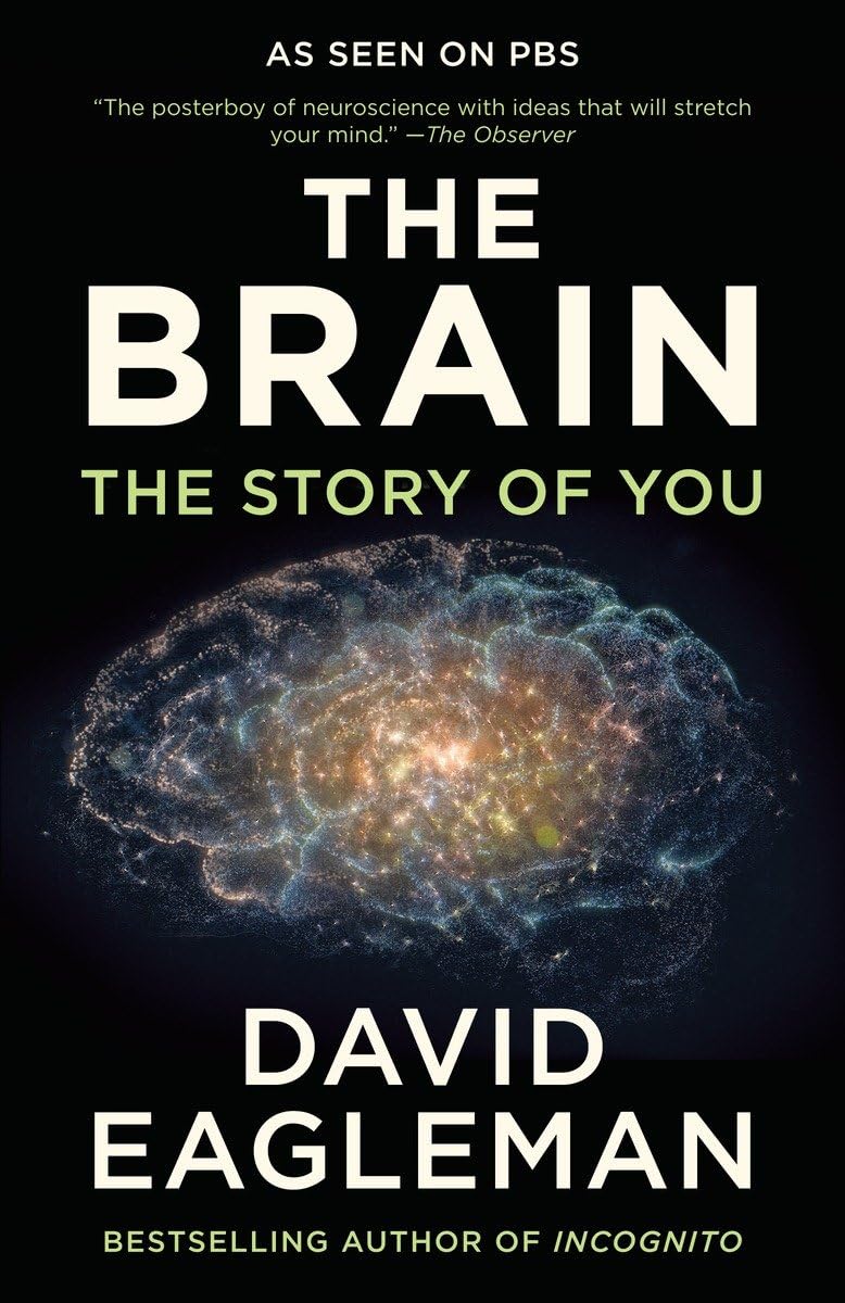 The Brain: The Story of You,Used