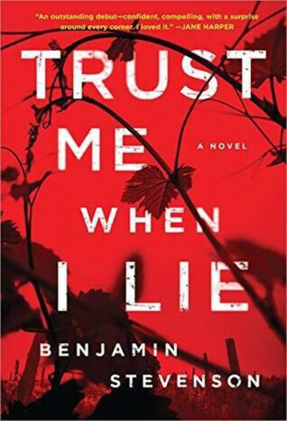 Trust Me When I Lie: A True CrimeInspired Thriller