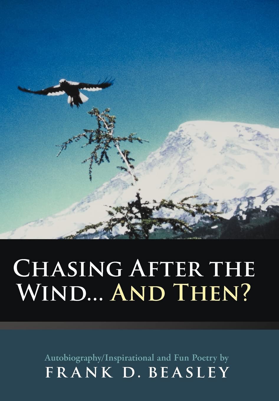 Chasing After The Wind...And Then?: Autobiography/Inspirational And Fun Poetry By,Used