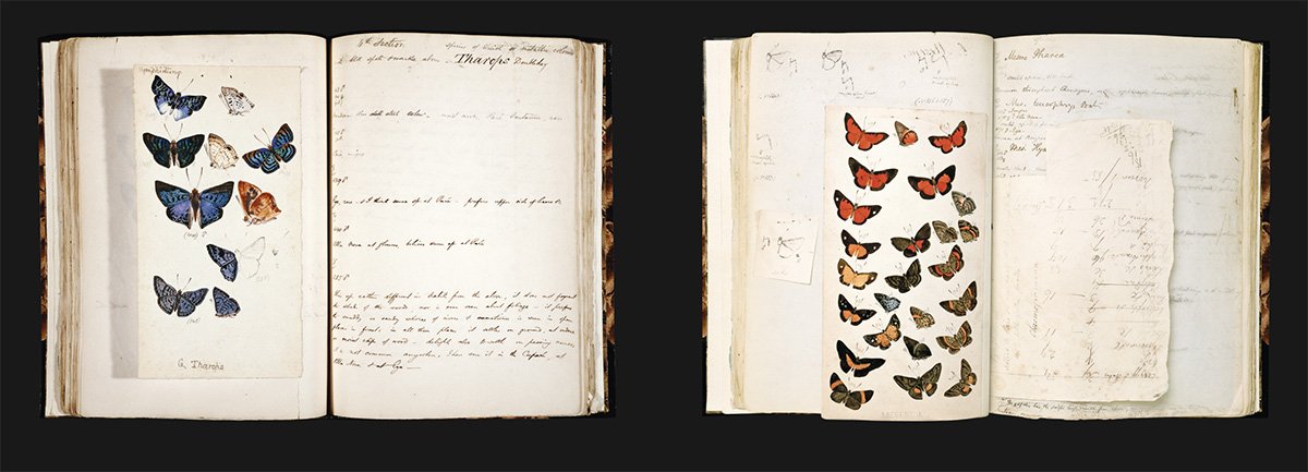 Explorers Sketchbooks: The Art of Discovery & Adventure (Artist Sketchbook, Drawing Book for Adults and Kids, Exploration Sketchbook)-New