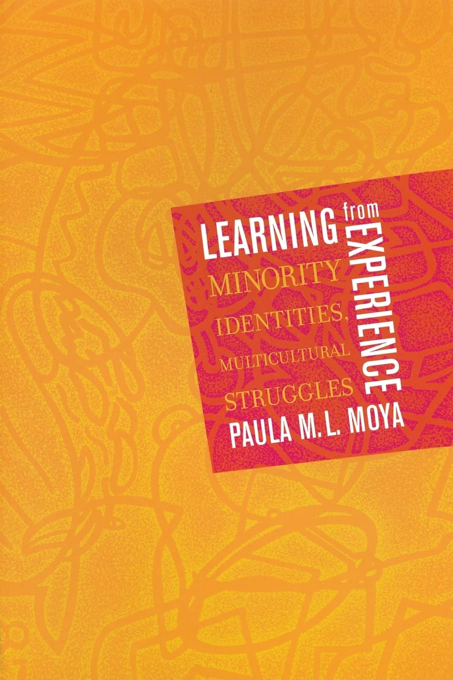 Learning From Experience: Minority Identities, Multicultural Struggles,New