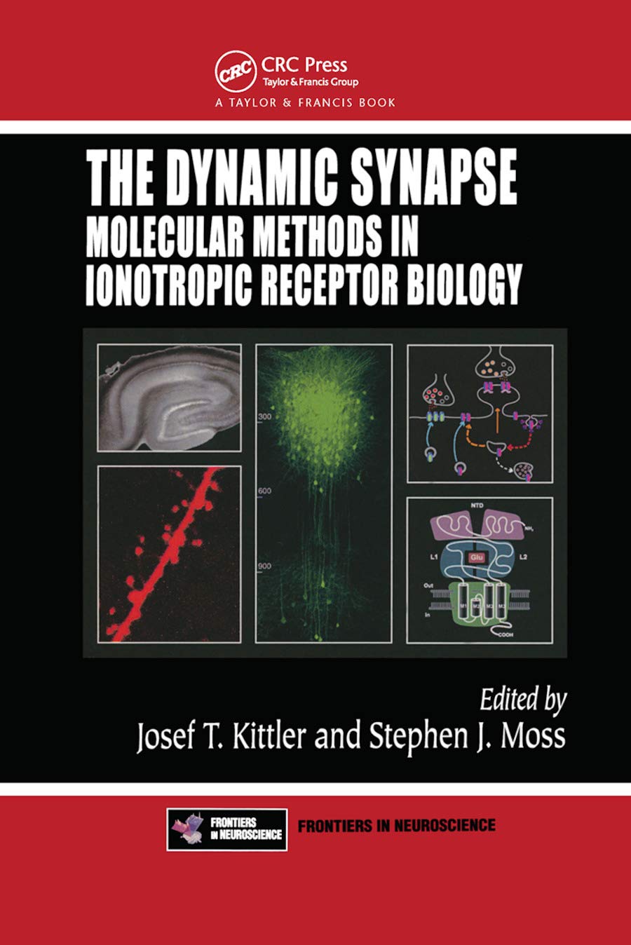 The Dynamic Synapse: Molecular Methods in Ionotropic Receptor Biology (Frontiers in Neuroscience),New