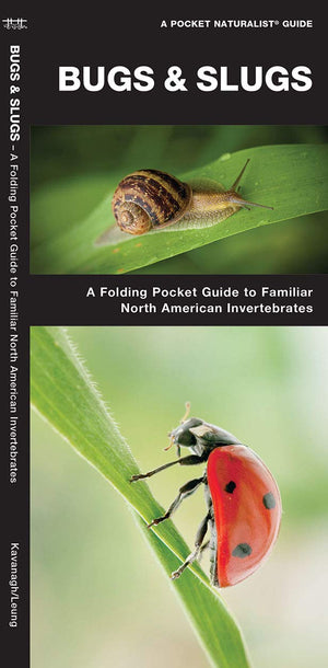 Bugs & Slugs: A Folding Pocket Guide to Familiar North American Invertebrates (A Pocket Naturalist Guide),Used