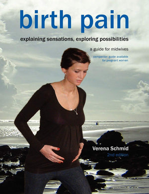 Birth Pain: Explaining Sensations, Exploring Possibilities (2Nd Ed),Used