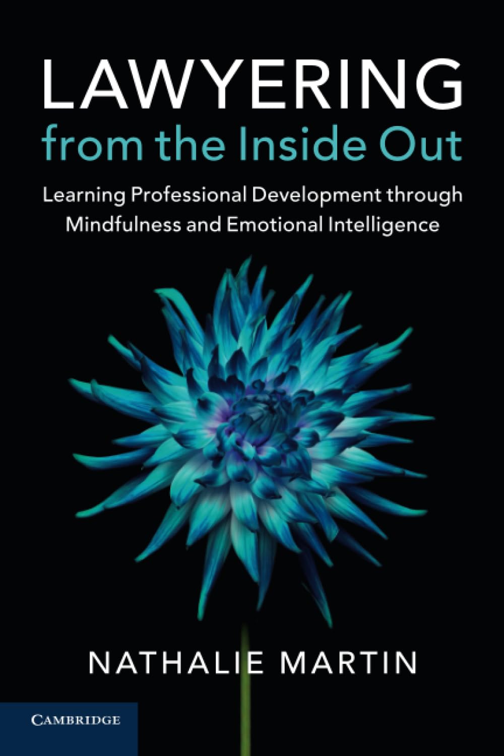 Lawyering from the Inside Out,Used