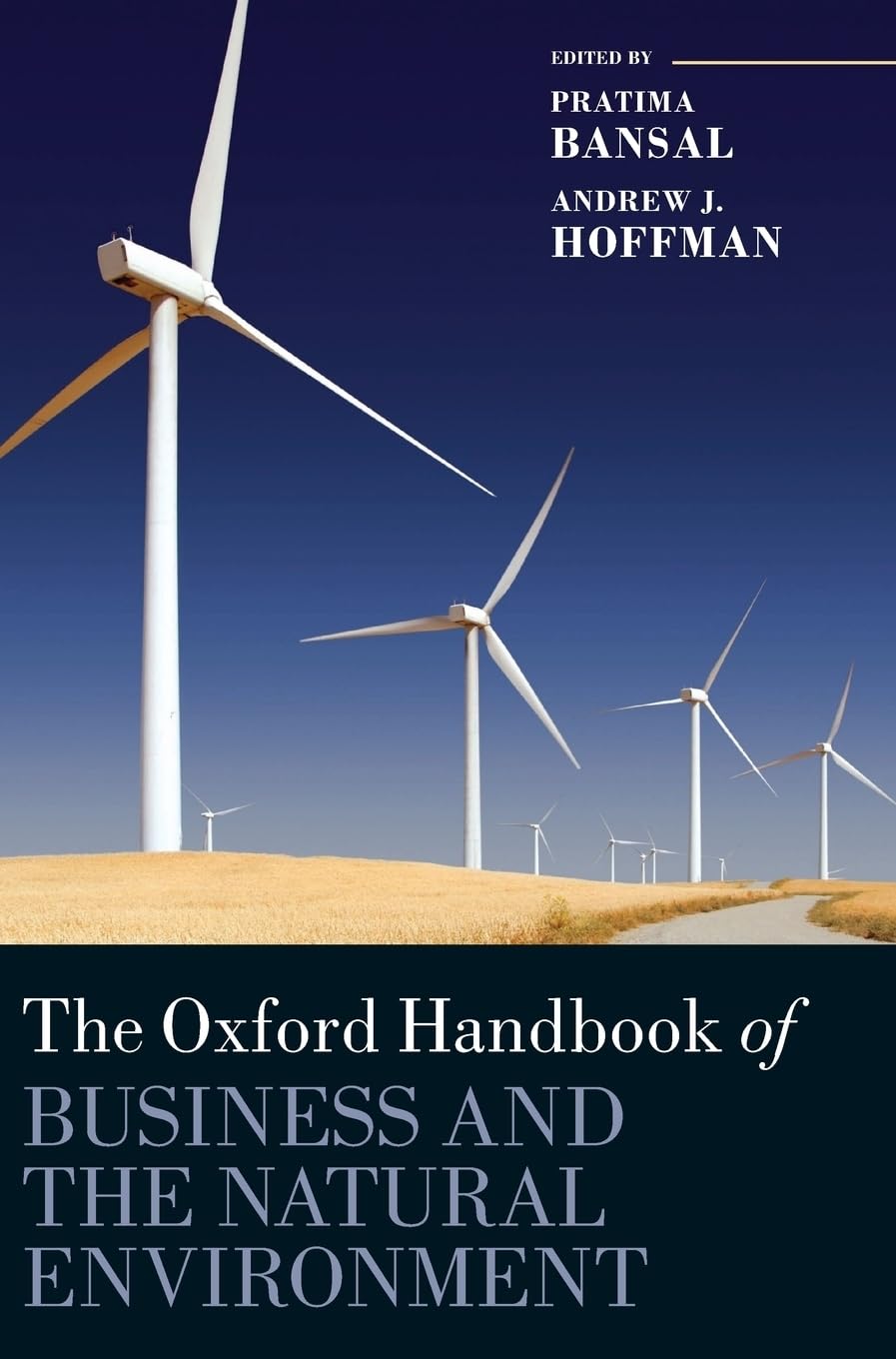 The Oxford Handbook of Business and the Natural Environment (Oxford Handbooks),Used