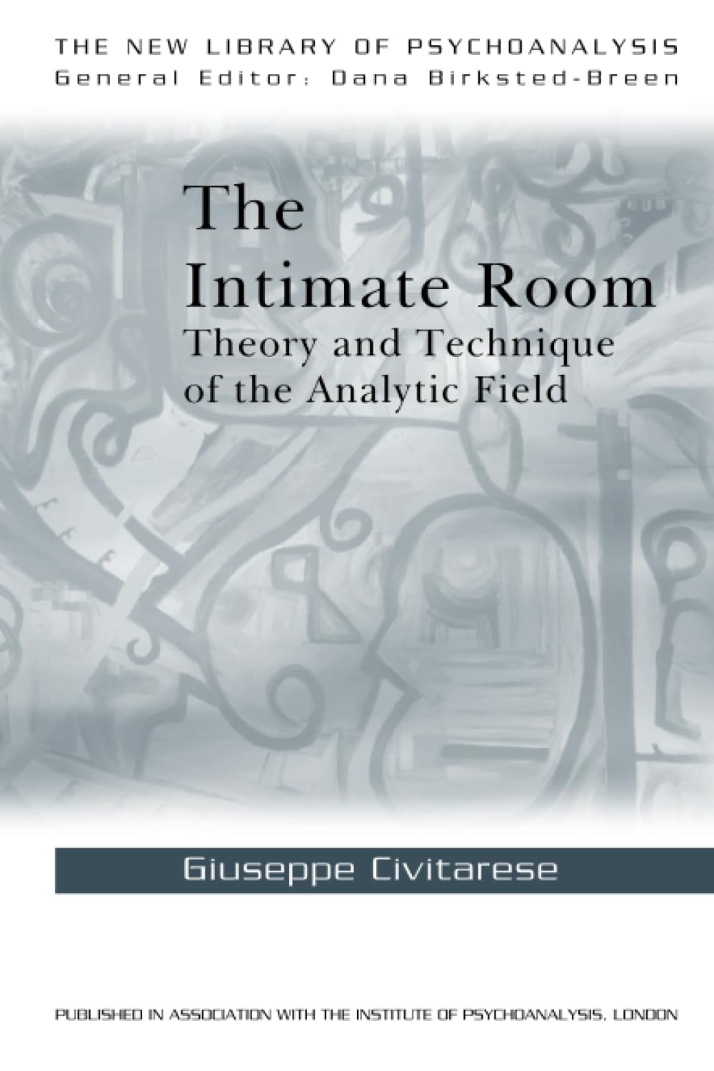 The Intimate Room (The New Library Of Psychoanalysis),Used