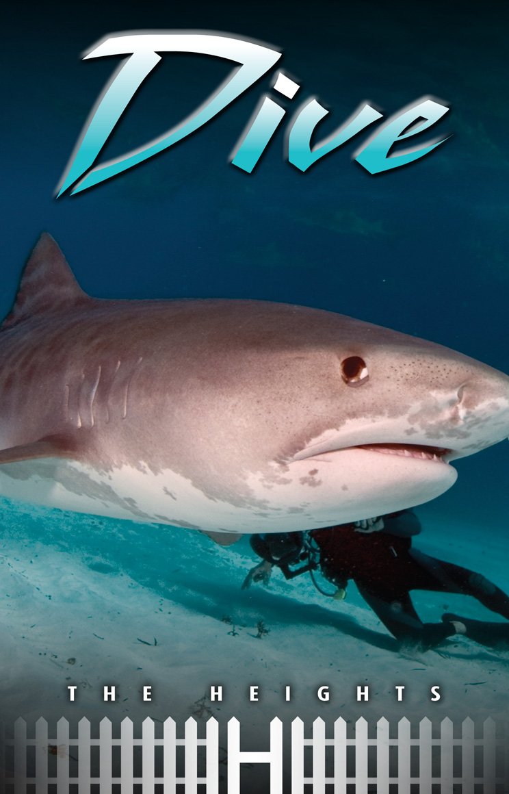 Dive (Heights),Used