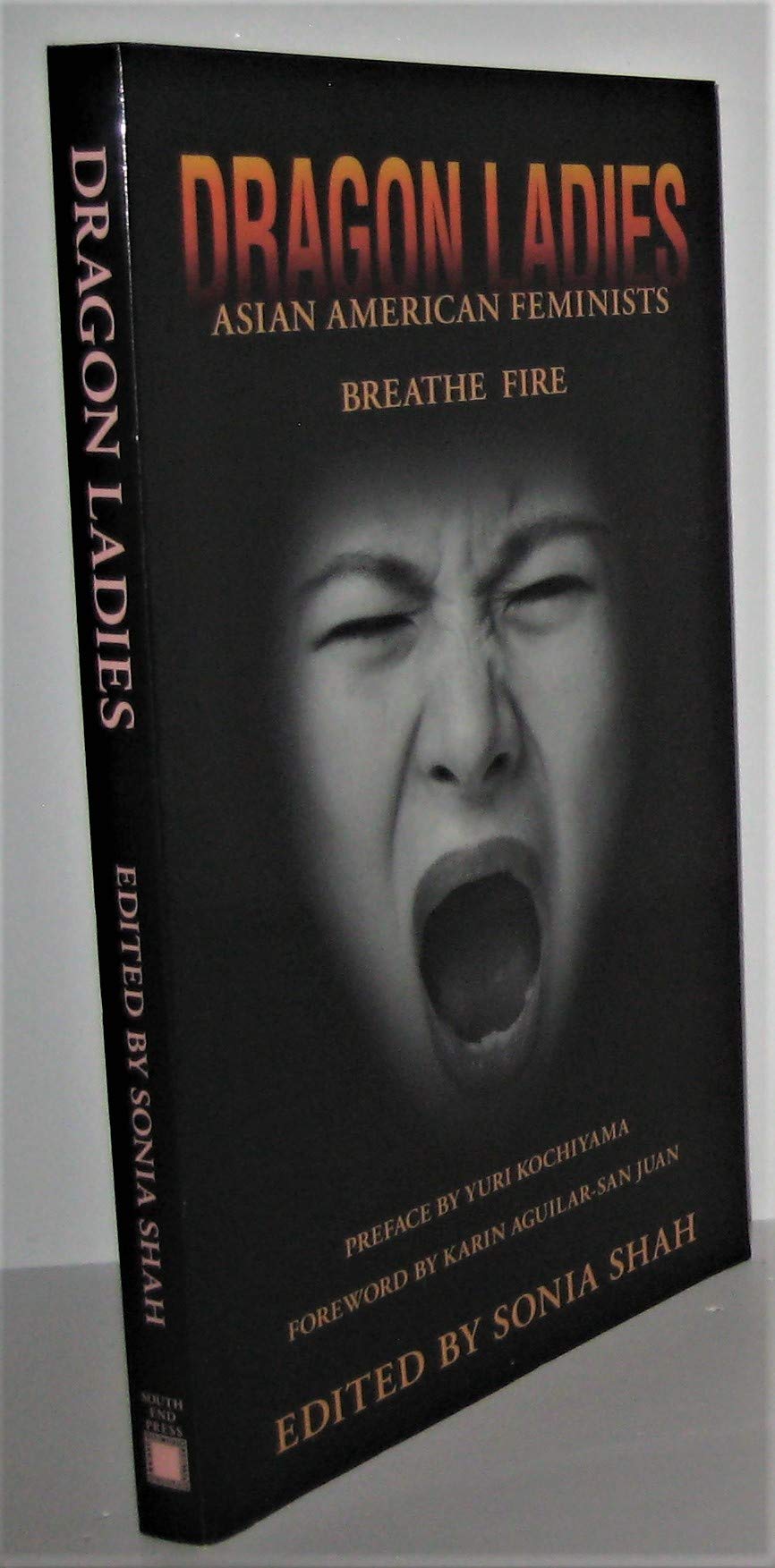 Dragon Ladies: Asian American Feminists Breathe Fire,Used