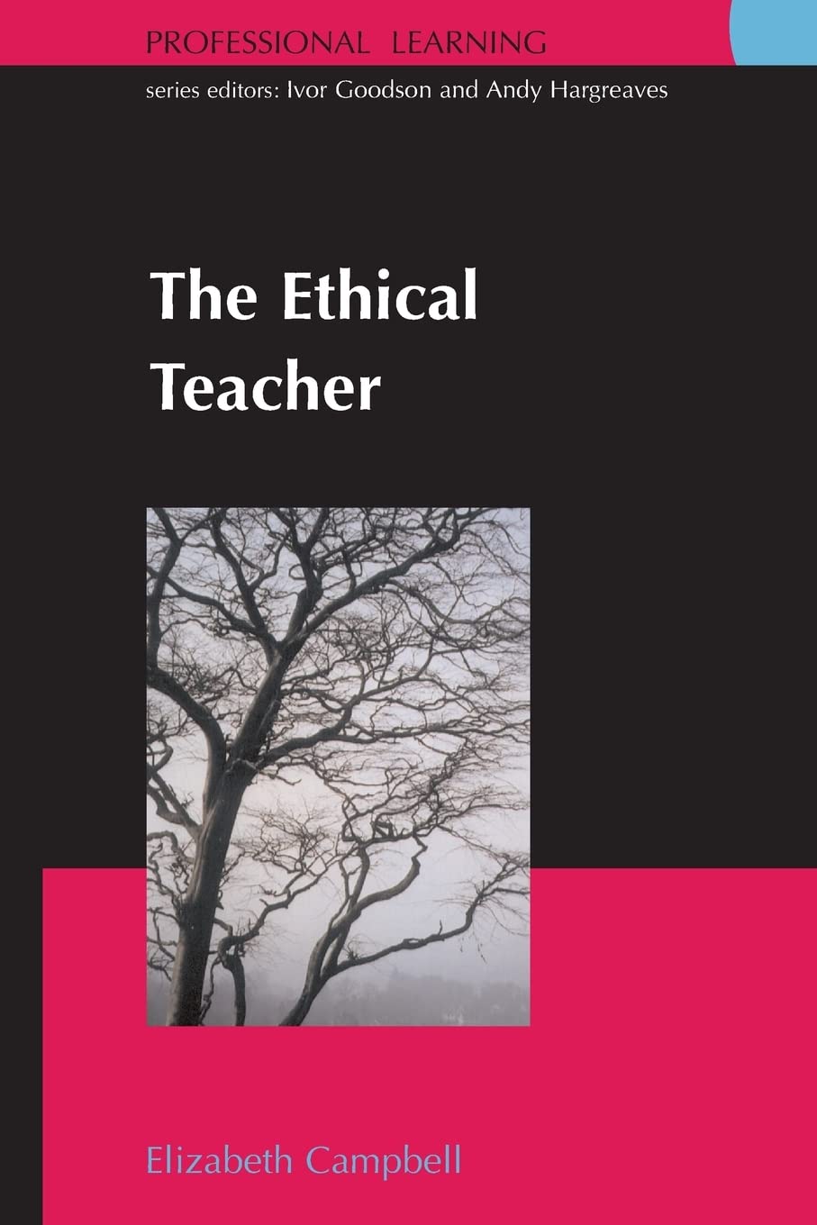 The ethical teacher (Professional Learning),Used
