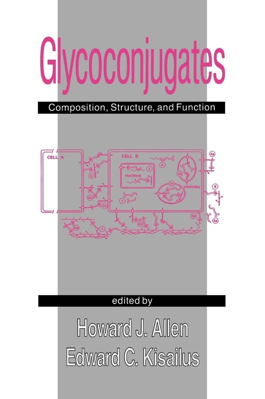 Glycoconjugates: Composition: Structure, and Function,Used