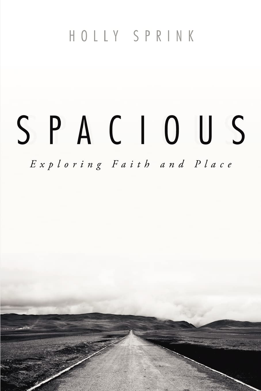 Spacious: Exploring Faith And Place,Used