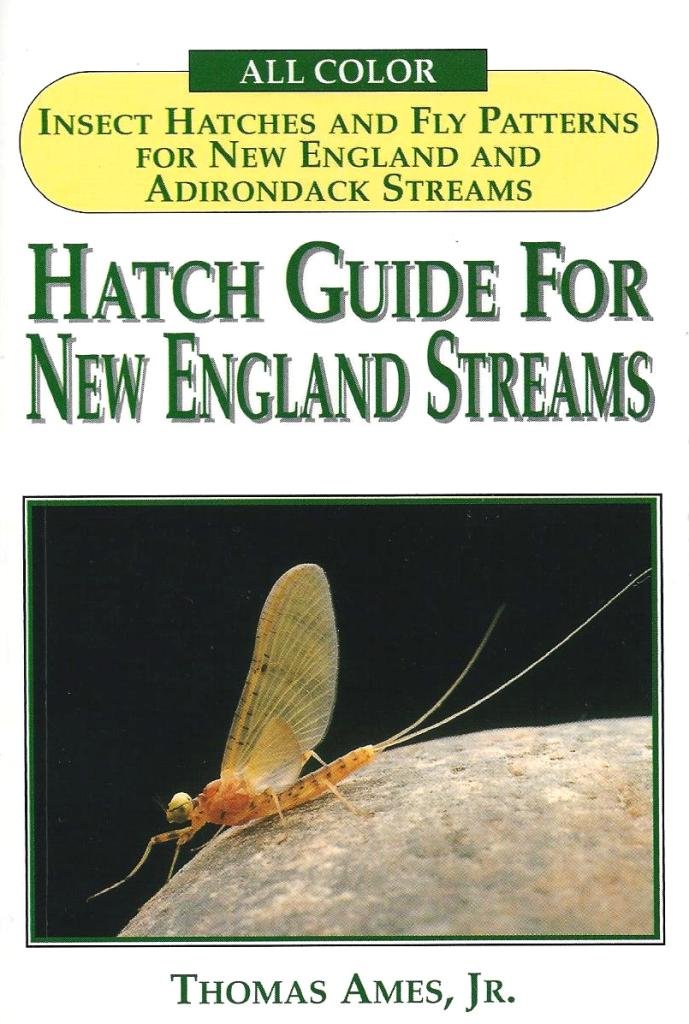 Hatch Guide for New England Streams,Used