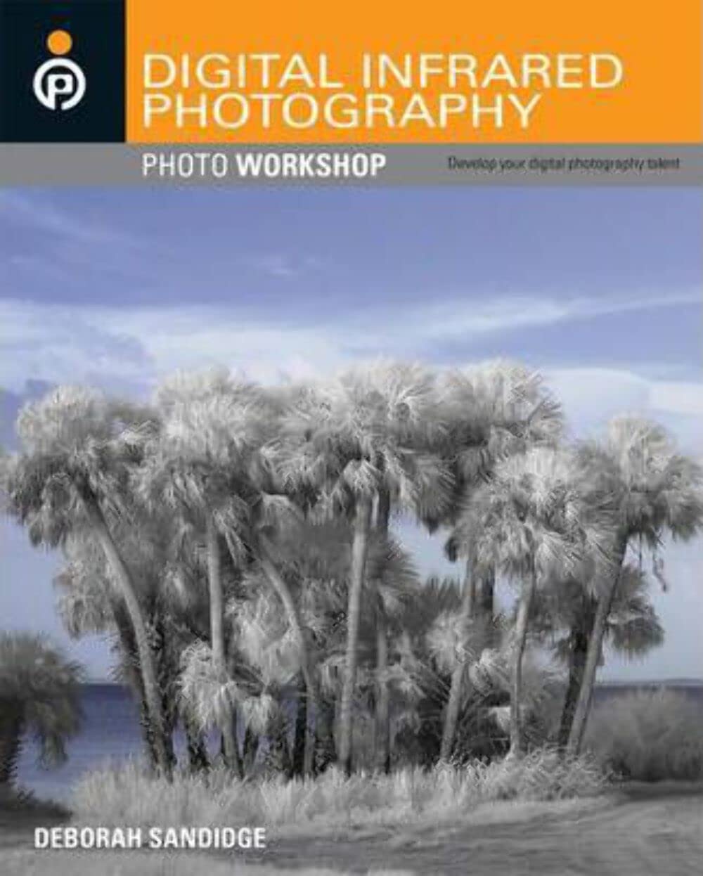 Digital Infrared Photography,Used