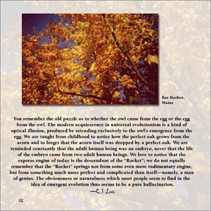 Humble Feelings: Inspirational Wisdom From C.S. Lewis, Rich Mullins, And Others,Used