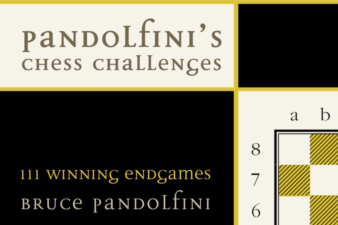 Pandolfini's Chess Challenges: 111 Winning Endgames,Used