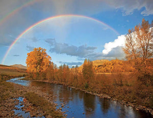 Colorado Autumn,Used