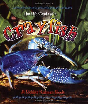 The Life Cycle of a Crayfish,Used