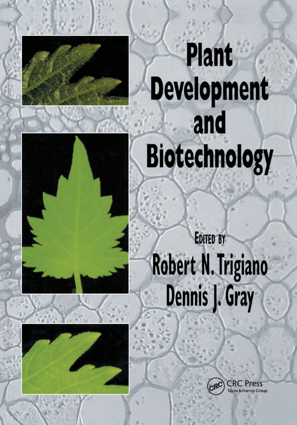 Plant Development and Biotechnology,New