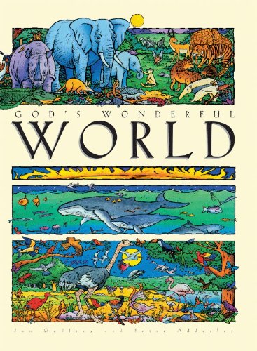 God's Wonderful World,Used