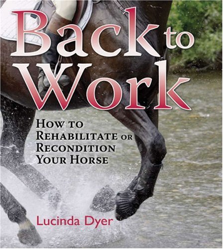 Back To Work: How To Rehabilitate Or Recondition Your Horse